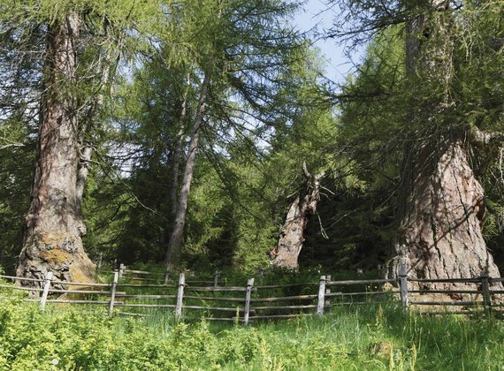 Kultur-Urlaub Meran, luxuriöses Erwachsenenhotel Meran