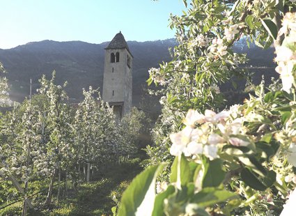 Luxuriöses 5-Sterne-Wellnesshotel Südtirol, Naturns