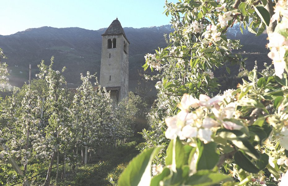 Luxuriöses 5-Sterne-Wellnesshotel Südtirol, Naturns