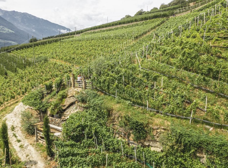 Luxuriöses 5-Sterne-Wellnesshotel Südtirol, Naturns