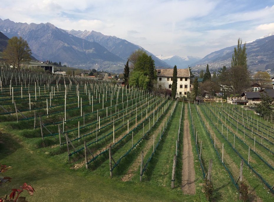 Luxuriöses 5-Sterne-Wellnesshotel Südtirol, Naturns