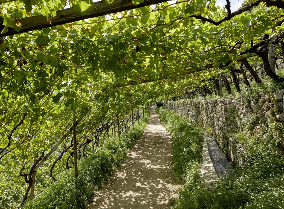 Luxuriöses 5-Sterne-Wellnesshotel Südtirol, Naturns