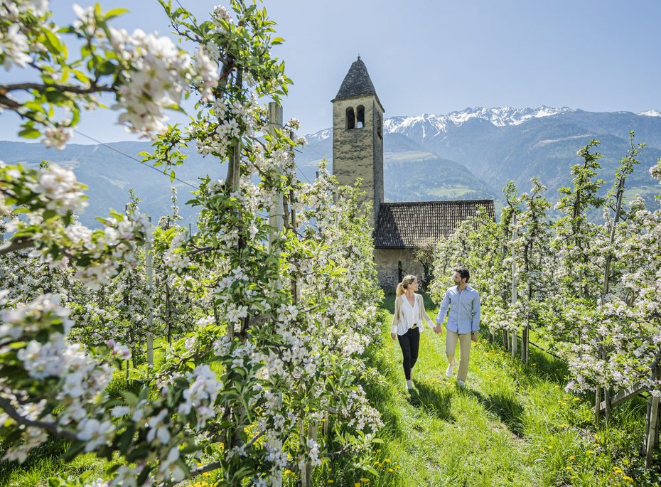 Luxuriöses 5-Sterne-Wellnesshotel Südtirol, Naturns