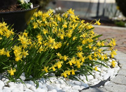 Luxuriöses 5-Sterne-Wellnesshotel Südtirol, Naturns