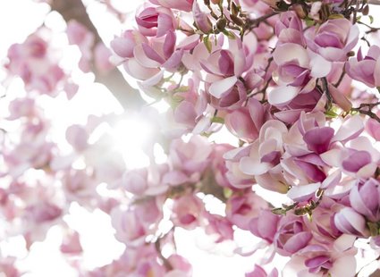 Osterzeit - der Frühling ist da
