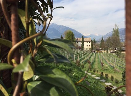 Luxuriöses 5-Sterne-Wellnesshotel Südtirol, Naturns