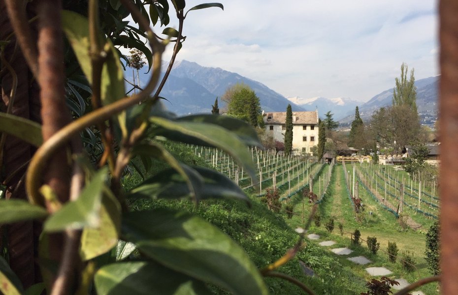 Luxuriöses 5-Sterne-Wellnesshotel Südtirol, Naturns