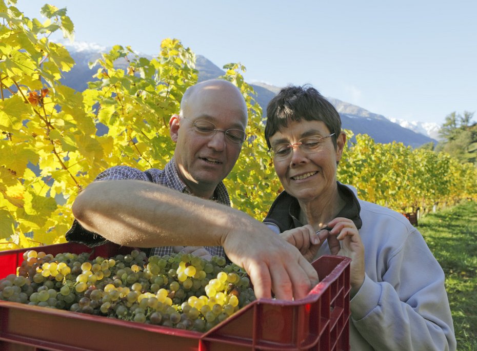 Luxuriöses 5-Sterne-Wellnesshotel Südtirol, Naturns