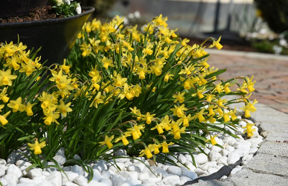 Luxuriöses 5-Sterne-Wellnesshotel Südtirol, Naturns