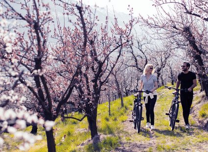 E-Bike Blooming Days