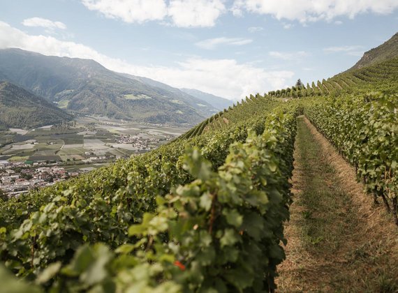 Wanderhotel in Südtirol - Wandern rund um Meran/Naturns