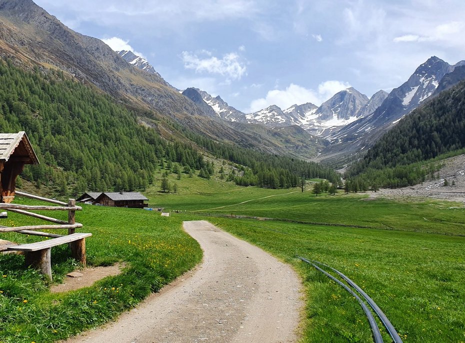 Ein Gehweg inmitten grüner Landschaft.