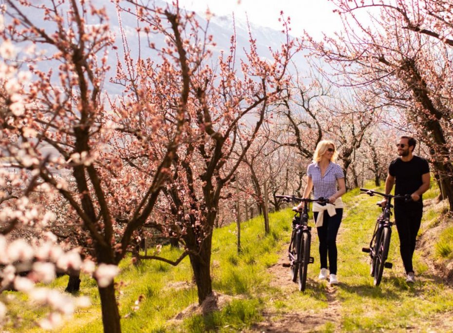 Luxuriöses 5-Sterne-Wellnesshotel Südtirol, Naturns